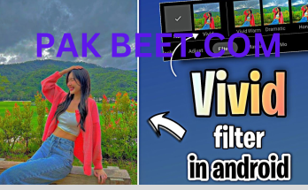 iPhone-Like Photo Editing on Android: Achieve Stunning Results with Vivid HD Filters